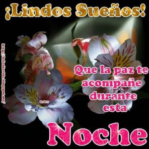 Saludos De Buenas Noches Romanticos Para Facebook