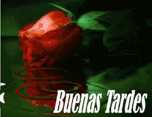 Saludos de buenas tardes gif animadas