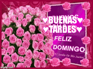 Saludos de buenas tardes para mi amor gif animadas