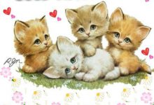 Photo of Saludos De Buenas Tardes Romanticas Para Facebook Y Whatsapp