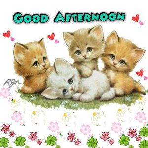 Saludos De Buenas Tardes Romanticas Para Facebook Y Whatsapp