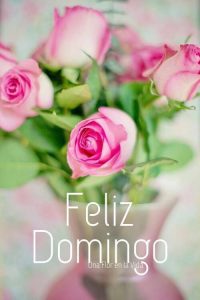 Saludos De Buenos Dias Domingo Para Celular