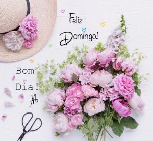 Saludos De Dia Domingo Para Whatsapp