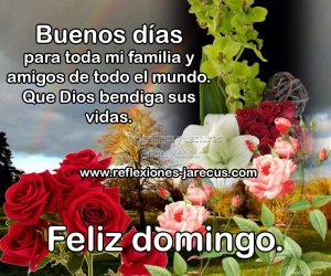 Saludos De Feliz Domingo Para Celular