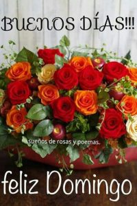 Saludos De Feliz Domingo Para Whatsapp