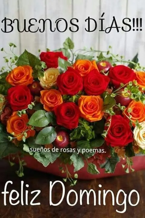 Saludos de feliz domingo para WhatsApp