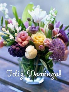 Saludos Del Dia Domingo Para Celular