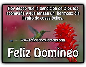 Saludos Dia Domingo Para Whatsapp