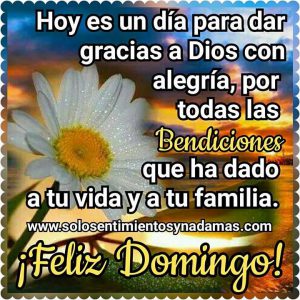 Saludos Para El Domingo Para Celular