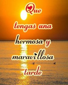 Tarde Bonita Para Whatsapp Celular