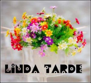 Tarjetas Buenas Tardes Amigos Para Whatsapp Celular