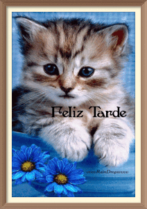 Tarjetas buenas tardes gratis gif animadas