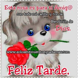 Tarjetas Cristianas De Buenas Tardes Para Whatsapp Celular