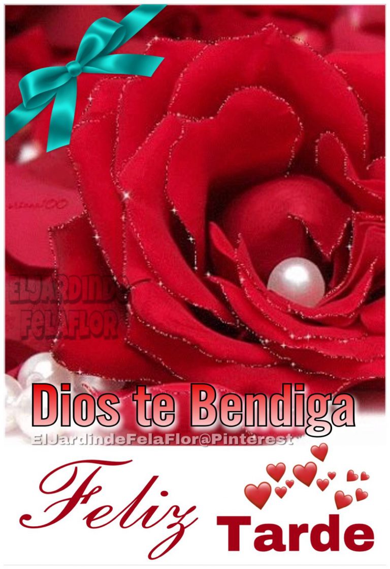 Tarjetas De Buenas Tardes Amor Para Whatsapp Celular