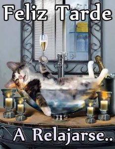 Tarjetas De Buenas Tardes Para Facebook Para Whatsapp Celular