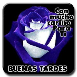 Tarjetas De Buenas Tardes Para Whatsapp Celular