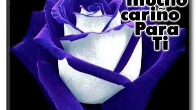 Photo of Tarjetas De Buenas Tardes Para Whatsapp Celular