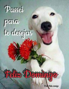 Tarjetas De Buenos Dias Domingo Para Celular