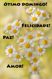 Tarjetas De Buenos Dias Domingo Para Whatsapp