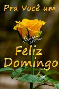 Tarjetas De Feliz Domingo Cristianas Para Celular