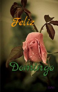 Tarjetas De Feliz Domingo Para Facebook Para Celular