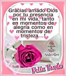 Tarjetas De Feliz Tarde Amor Para Whatsapp Celular