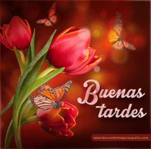Tarjetas De Feliz Tarde Para Facebook Y Whatsapp