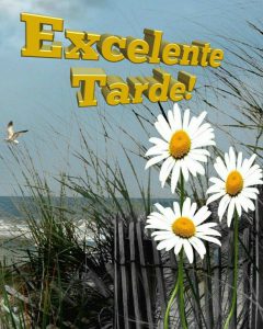 Tarjetas De Feliz Tarde Para Whatsapp Celular