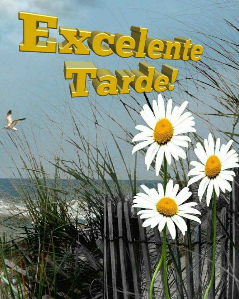 Tarjetas De Feliz Tarde Para Whatsapp Celular