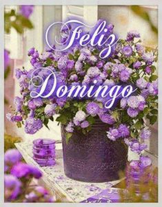 Tarjetas Feliz Domingo Para Celular