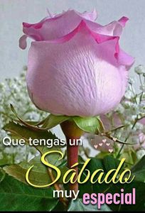 Tarjetas feliz sábado para WhatsApp