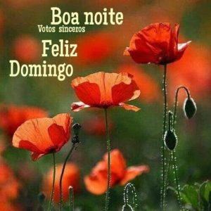 Tarjetas Para Desear Feliz Domingo Para Celular