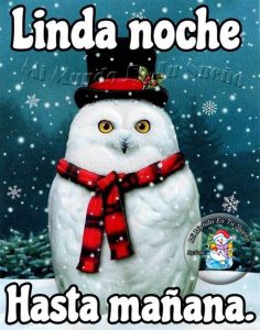 Te Deseo Buenas Noches Para Whatsapp