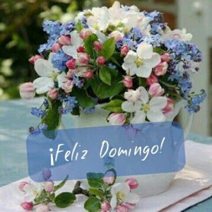 Te Deseo Un Feliz Domingo Para Celular