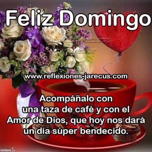 Te Deseo Un Feliz Domingo Para Whatsapp