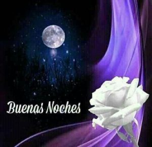 Textos De Amor De Buenas Noches Para Celular