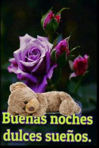 Textos De Amor De Buenas Noches Para Whatsapp