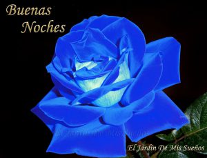 Textos De Buenas Noches De Amor