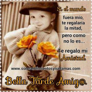 Translate Buenas Tardes Para Whatsapp Celular