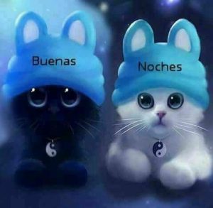 Un Bonito Mensaje De Buenas Noches Para Whatsapp