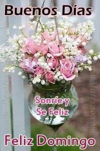 Un Buen Domingo Para Whatsapp