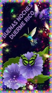 Un Buen Mensaje De Buenas Noches Para Celular