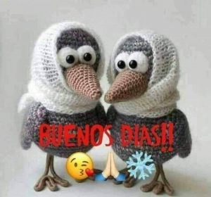 Un Buenos Dias Para Mi Amor Para Celular