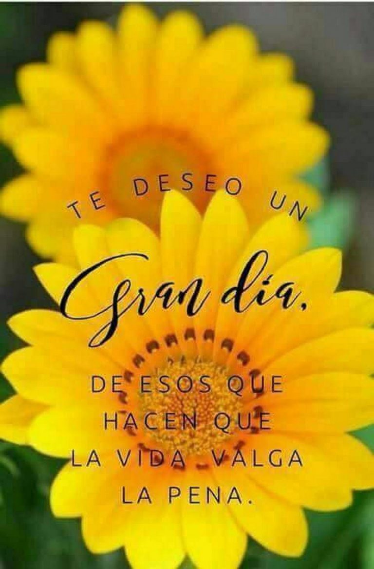 Un Buenos Dias Para Mi Amor Para Descargar