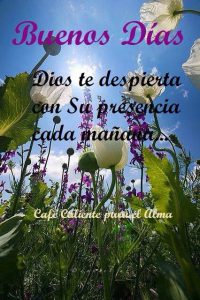 Un Buenos Dias Para Mi Novio Para Facebook