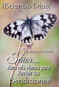 Un Buenos Dias Para Mi Novio Para Una Amiga