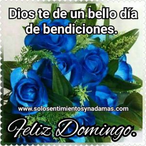 Un Domingo Bendecido Para Celular