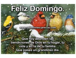 Un Feliz Domingo Para Whatsapp