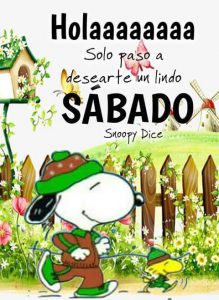 Un feliz sábado