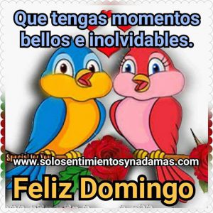 Un Lindo Domingo Para Celular